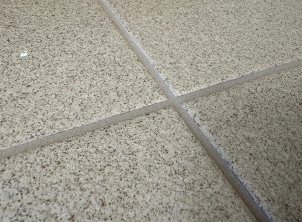 최첨단 기술과 전문성